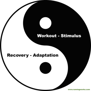 Yin-Yang of Stimulus & Recovery